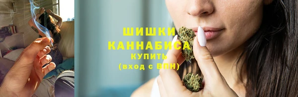 стаф Нефтегорск