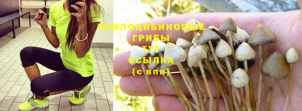 гидропоника Алзамай