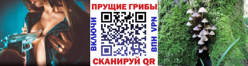 Псилоцибиновые грибы мицелий Домодедово