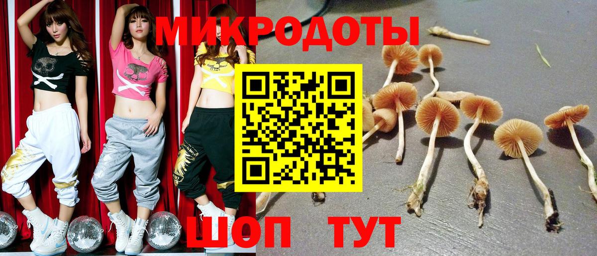 Псилоцибиновые грибы ЛСД  Псилоцибиновые грибы мицелий  Вход с VPN  Домодедово 